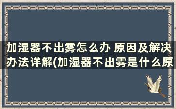 加湿器不出雾怎么办 原因及解决办法详解(加湿器不出雾是什么原因怎么修)